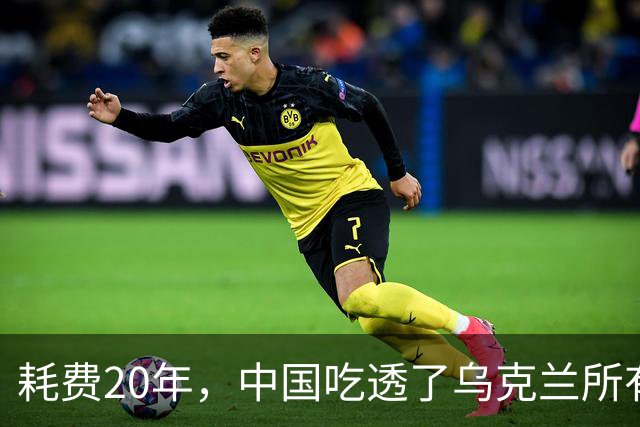 耗费20年，中国吃透了乌克兰所有军工技术，却唯独一样没办法？